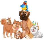 Ícone Bem Estar Animal